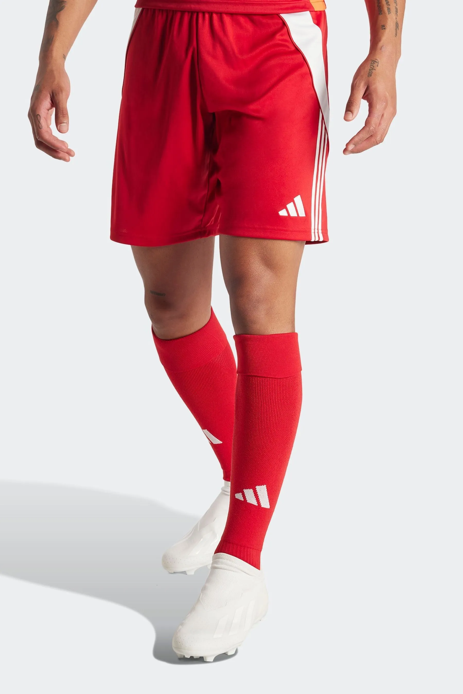 adidas Tiro 24 Shorts    