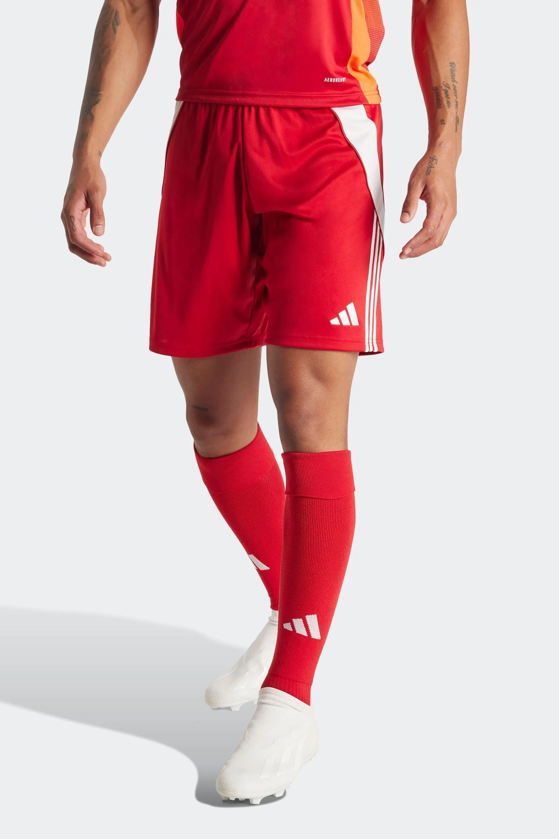 adidas Tiro 24 Shorts    