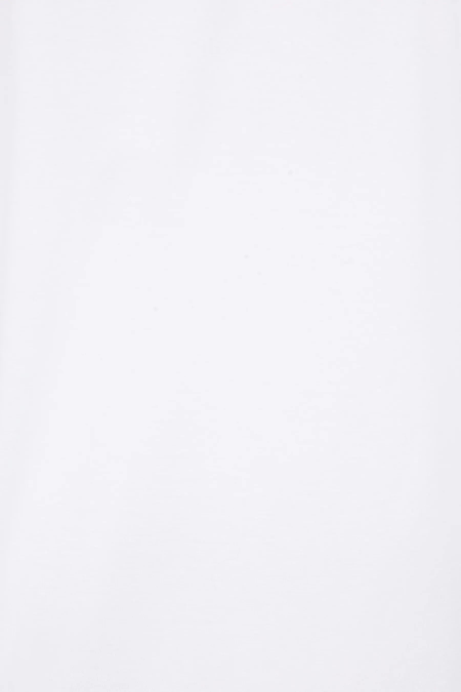 BRUNELLO CUCINELLI t-shirt in cotone
