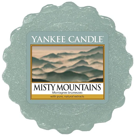 Candela Yankee Candle Cera da Fondere colore Grigio/Argento