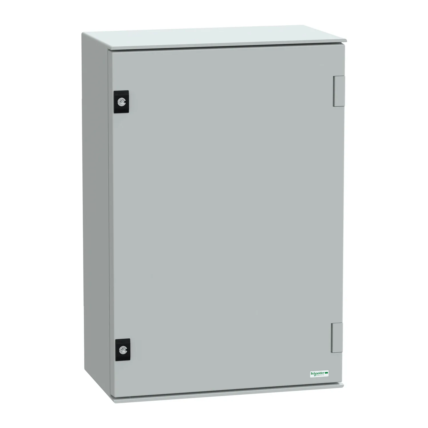 Contenitore a parete con portello Piatta Schneider Electric in PET 647 x 436 x 250mm, col. Grigio, IP66