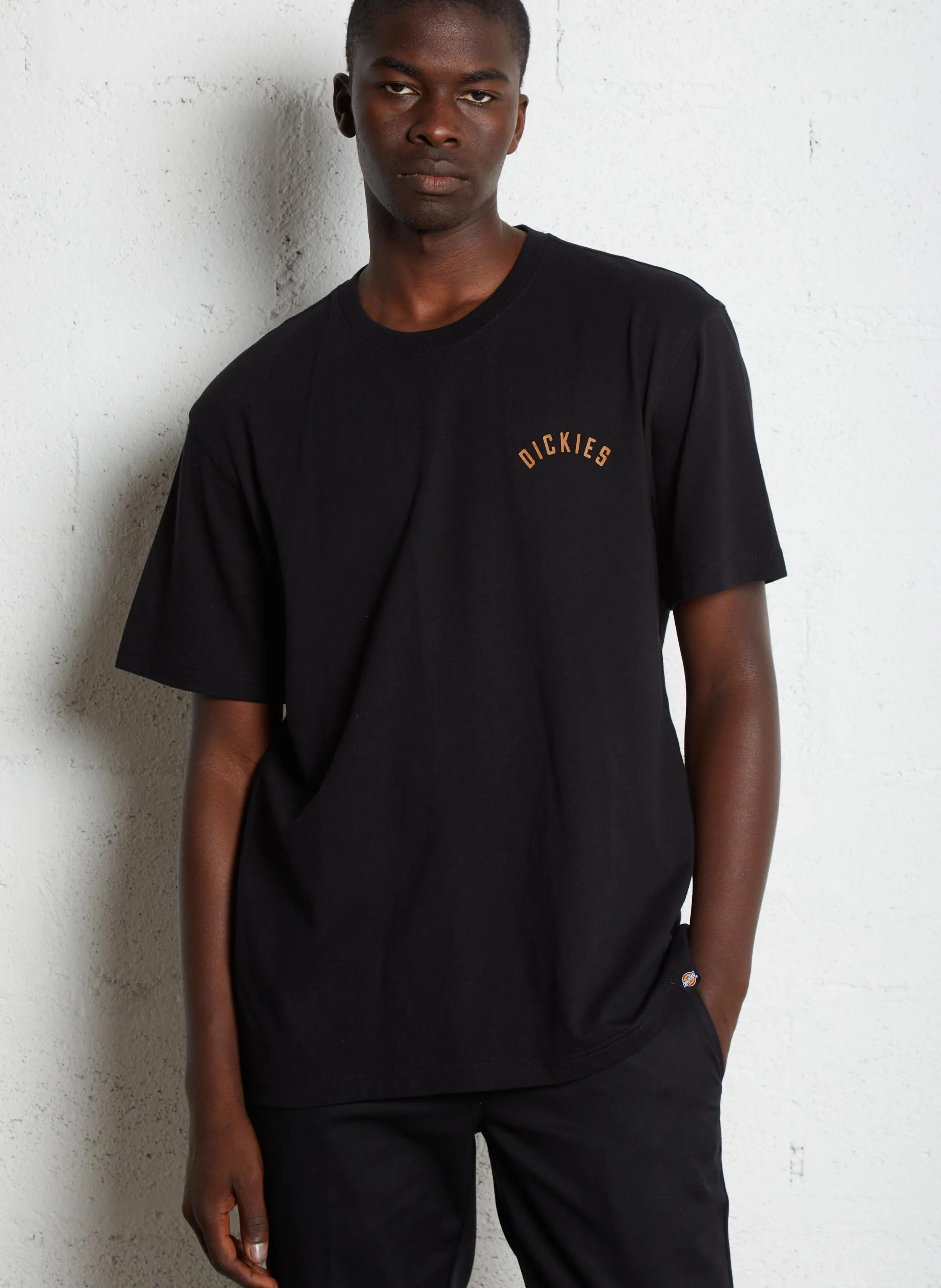  DICKIES   DICKIES PANTHER - T-shirt dritta scollo tondo in cotone | Nero