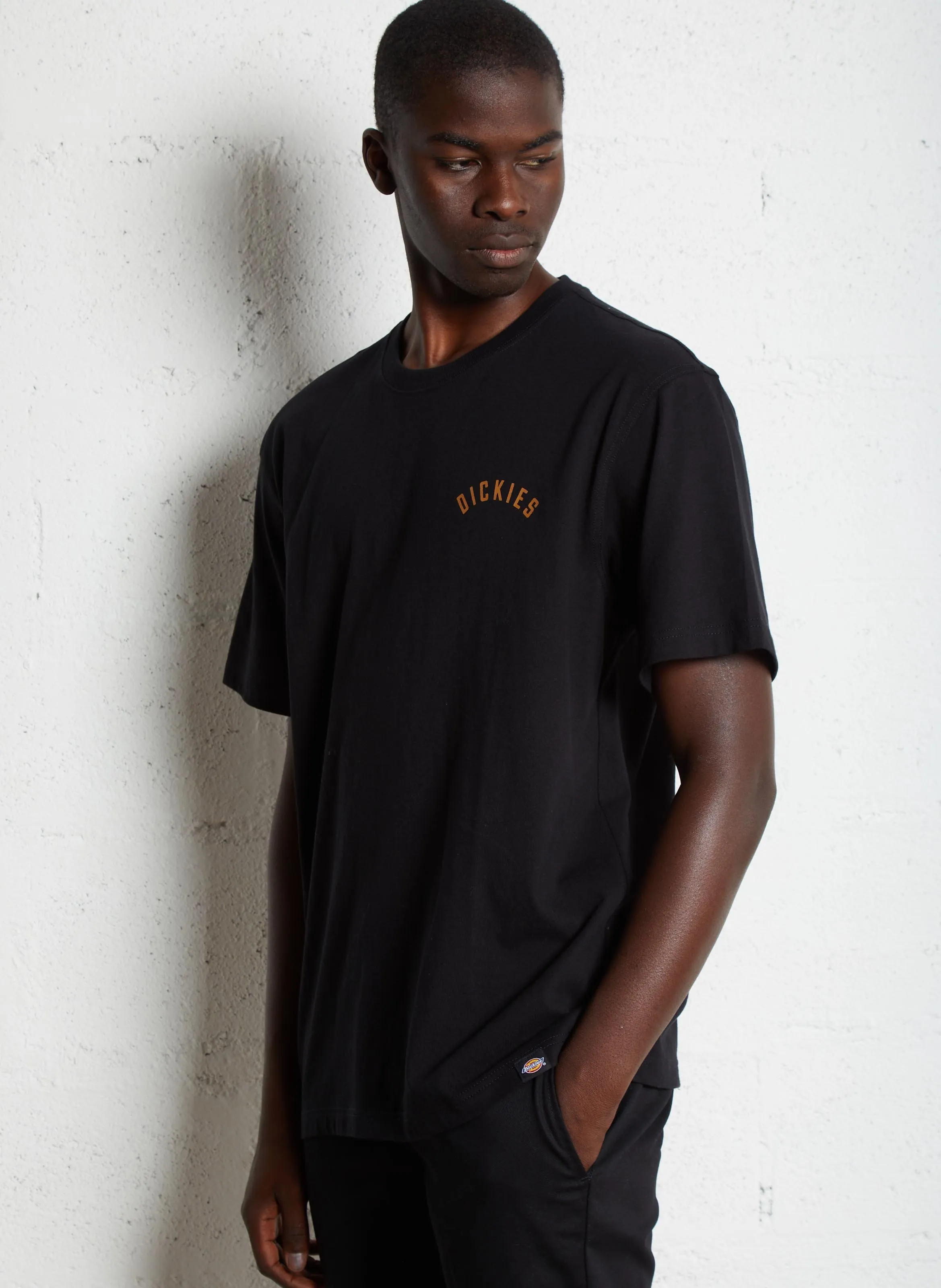  DICKIES   DICKIES PANTHER - T-shirt dritta scollo tondo in cotone | Nero