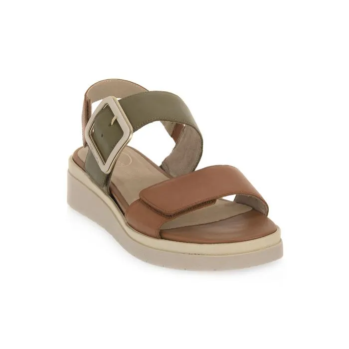 JANA OLIVE COMB