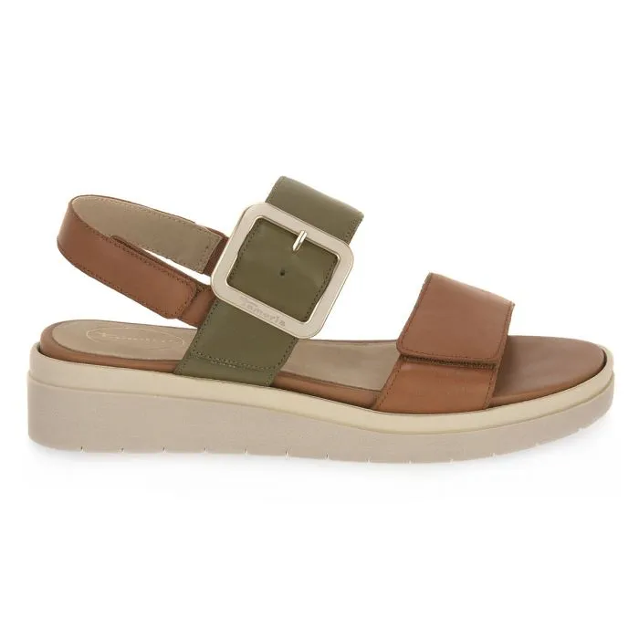 JANA OLIVE COMB