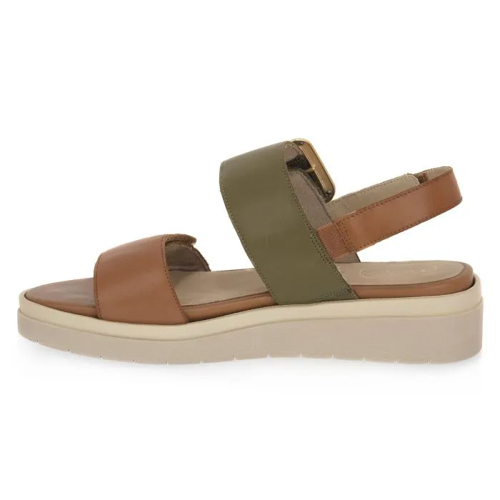 JANA OLIVE COMB