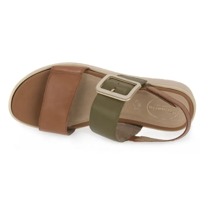 JANA OLIVE COMB