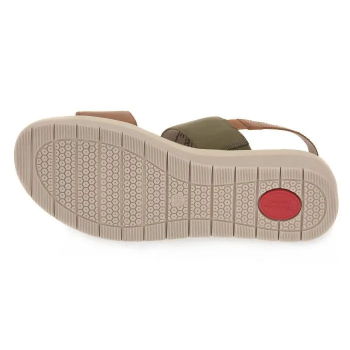 JANA OLIVE COMB